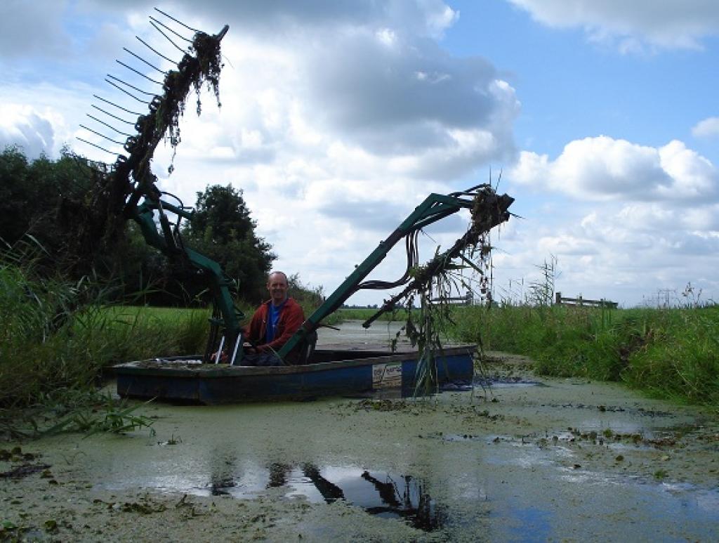 Maaiboot